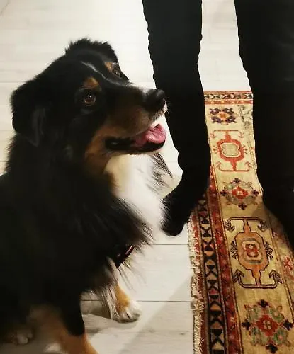 La Residenza Di Carlo Close To Piazza San Marco * Venecia